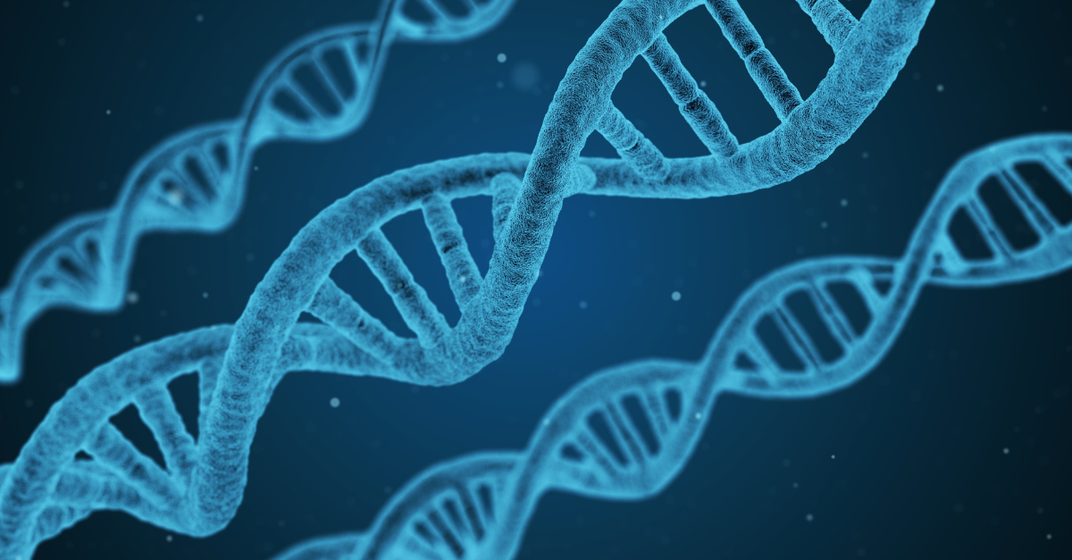 Three DNA strands