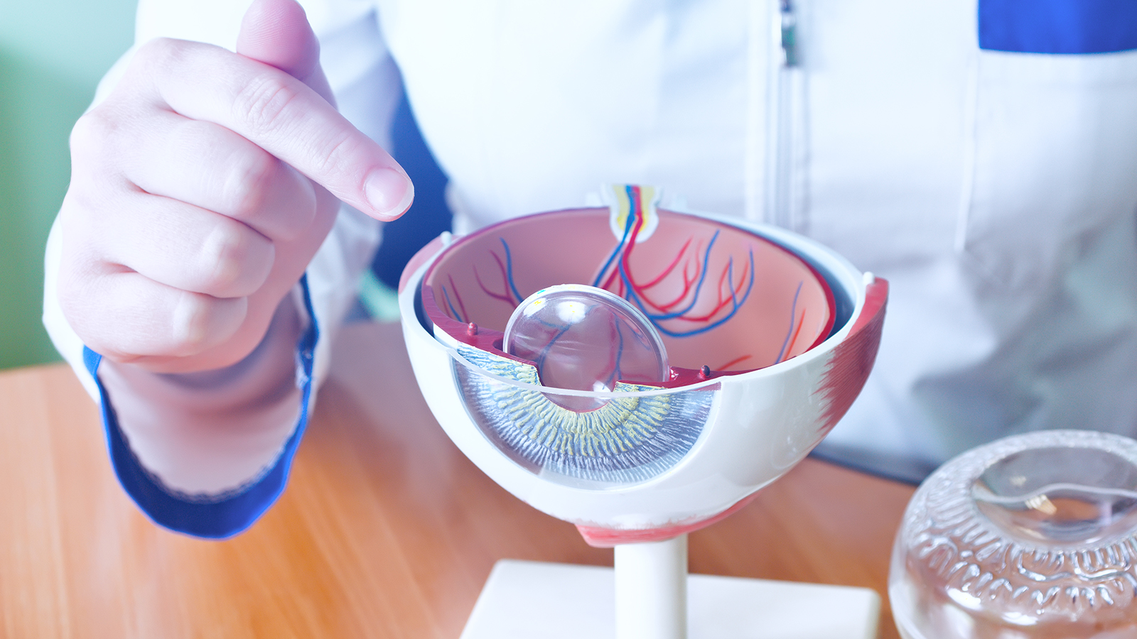 consultant explaining cataract surgery using model eye