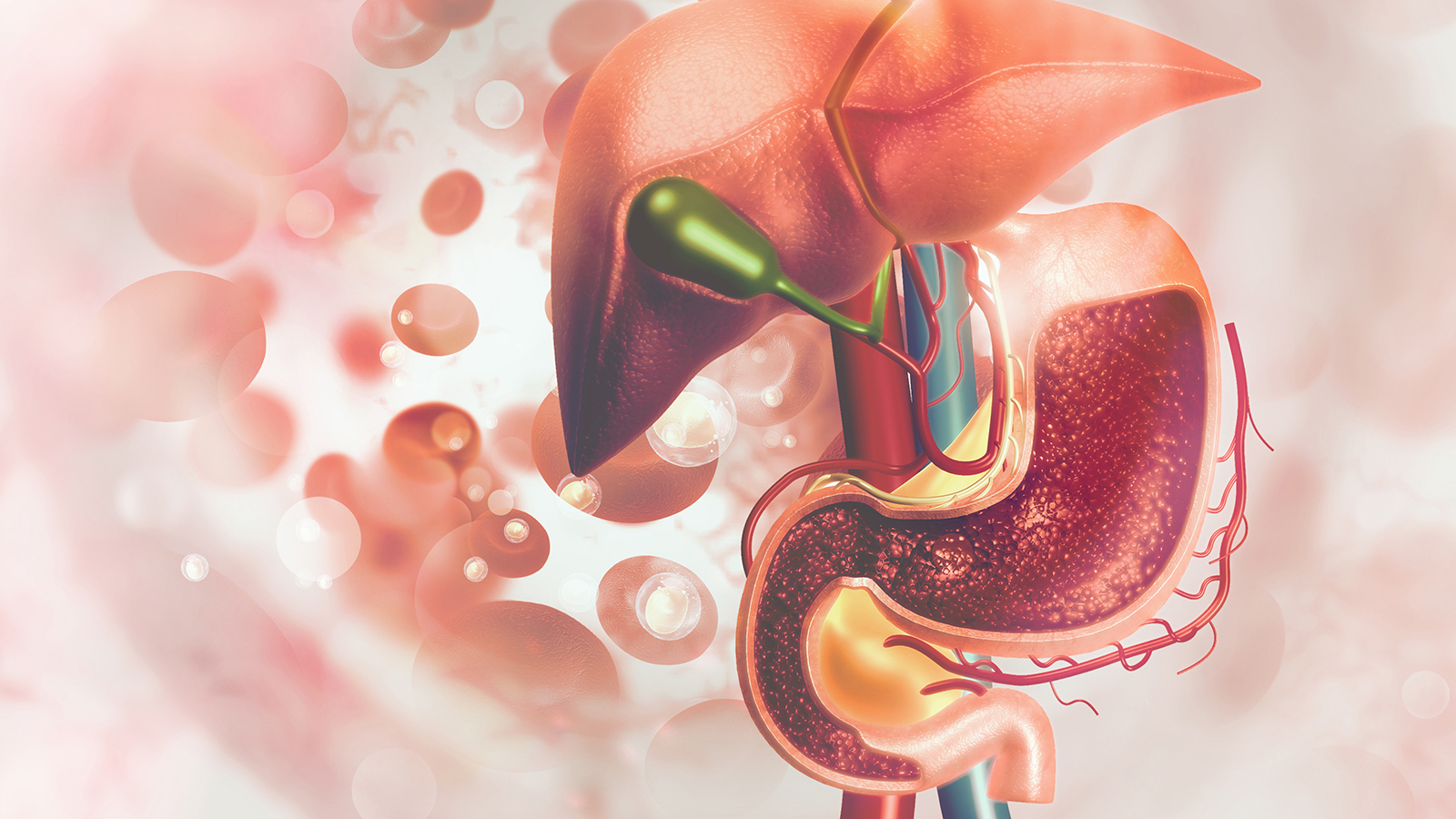gallbladder surgery illustration of gallbladder