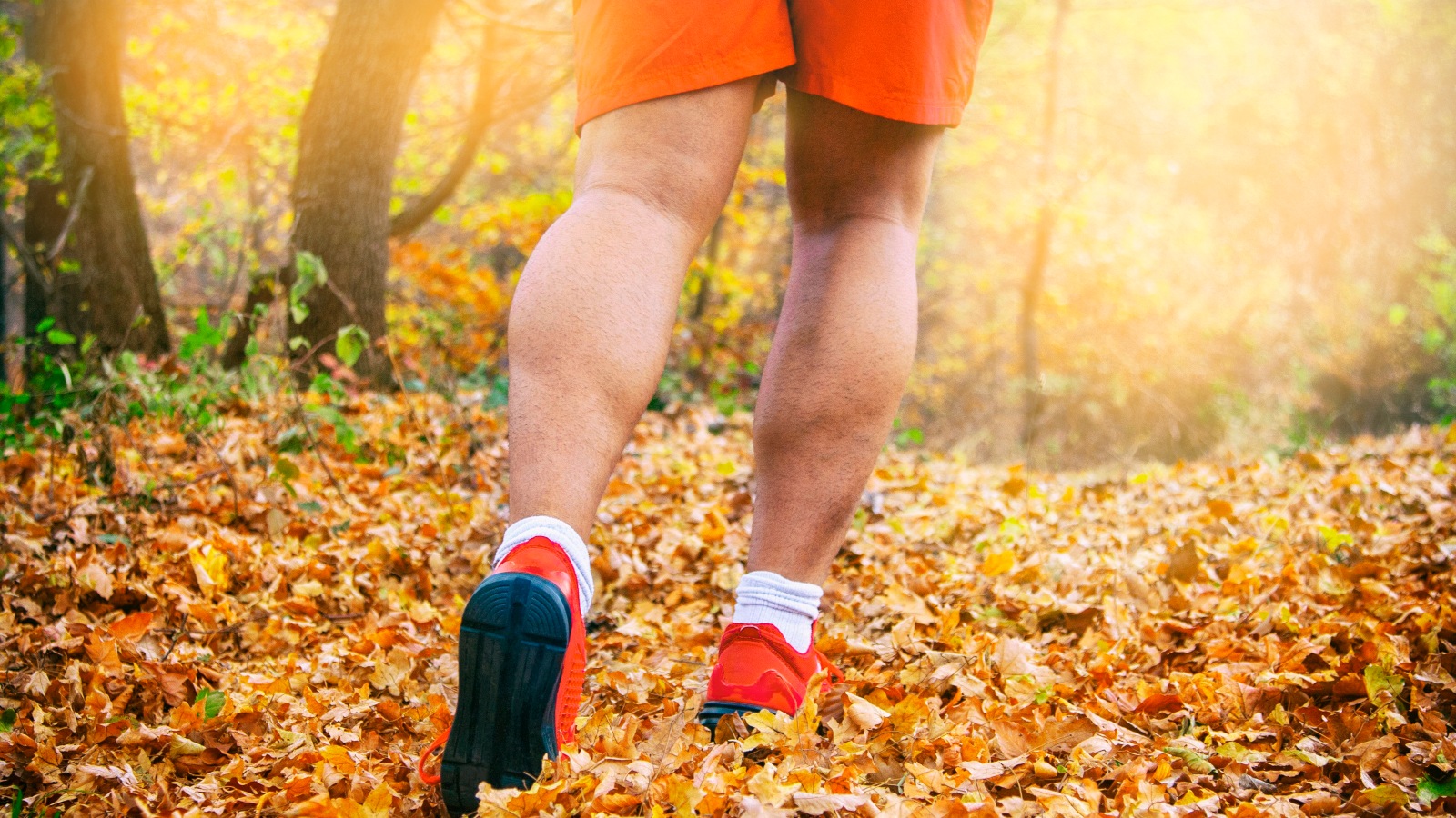 man walking through the woods in autumn