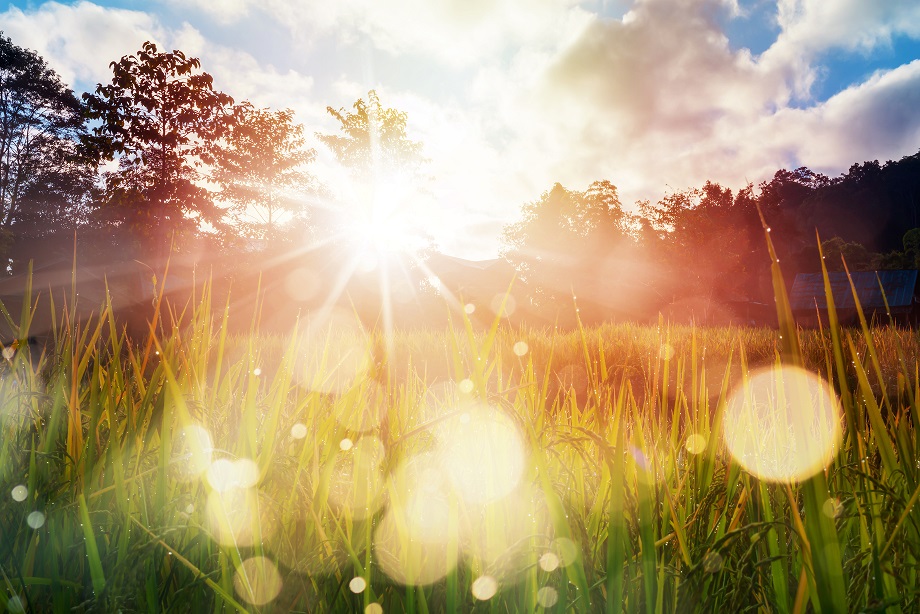 Sunrise