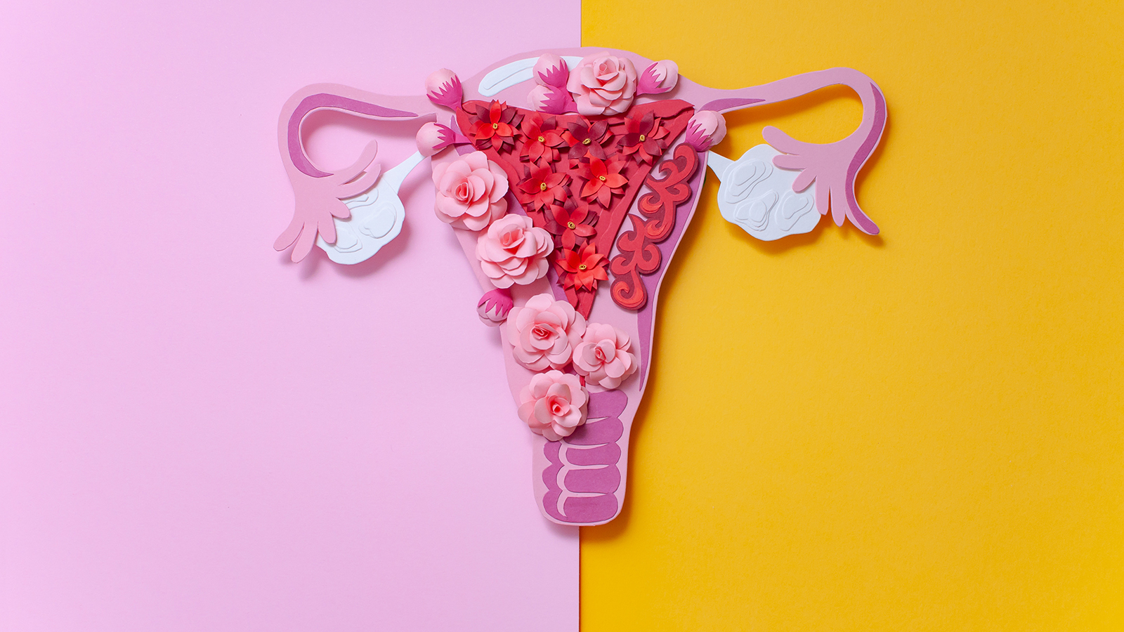illustration of the uterus and ovaries crafted from coloured paper
