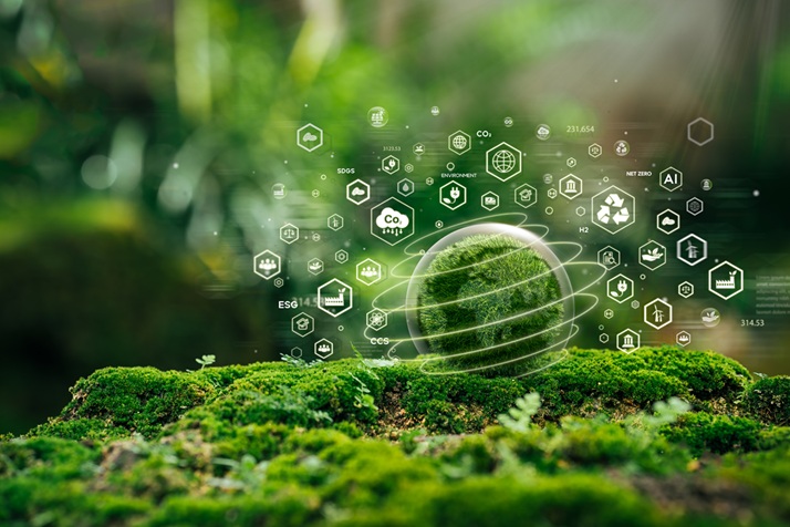 Green globe on the moss in green forest