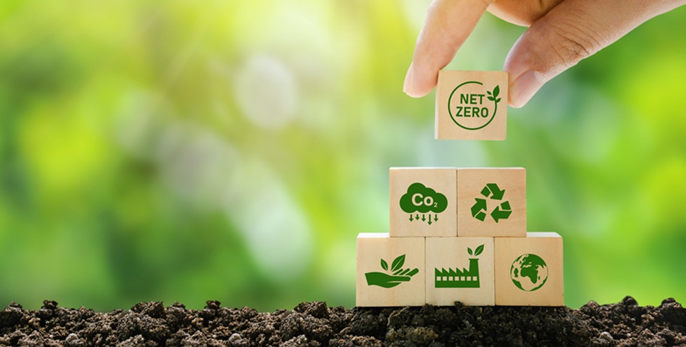 Hand stacking cardboard boxes with sustainability logos