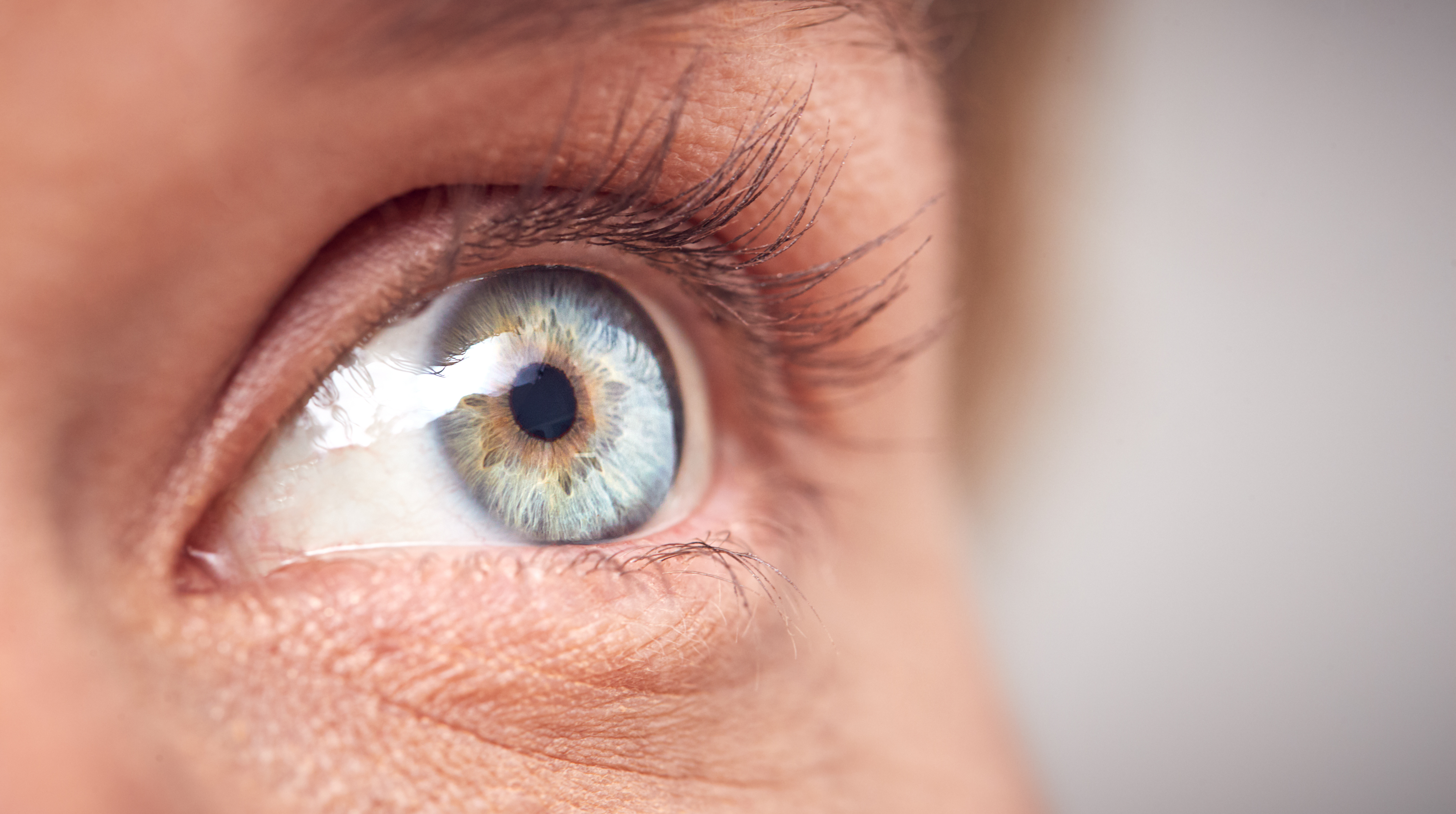 A close up of a person's eye