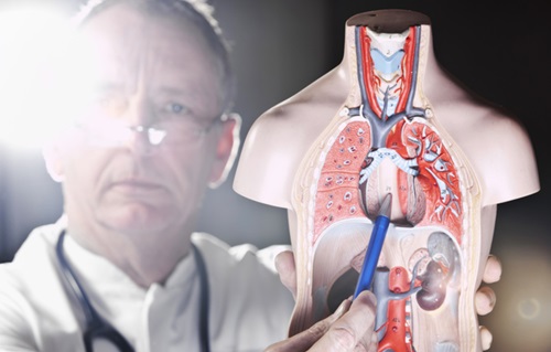 Rcpd Retrograde Cricopharyngeus Dysfunction | RCPD Treatments