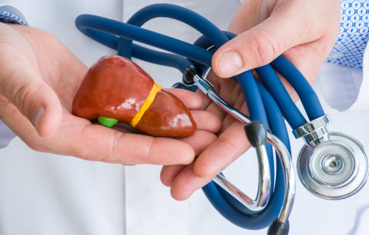 Doctor dressed in white lab coat in one hand holds figure of liver or hepar in another twisted steth