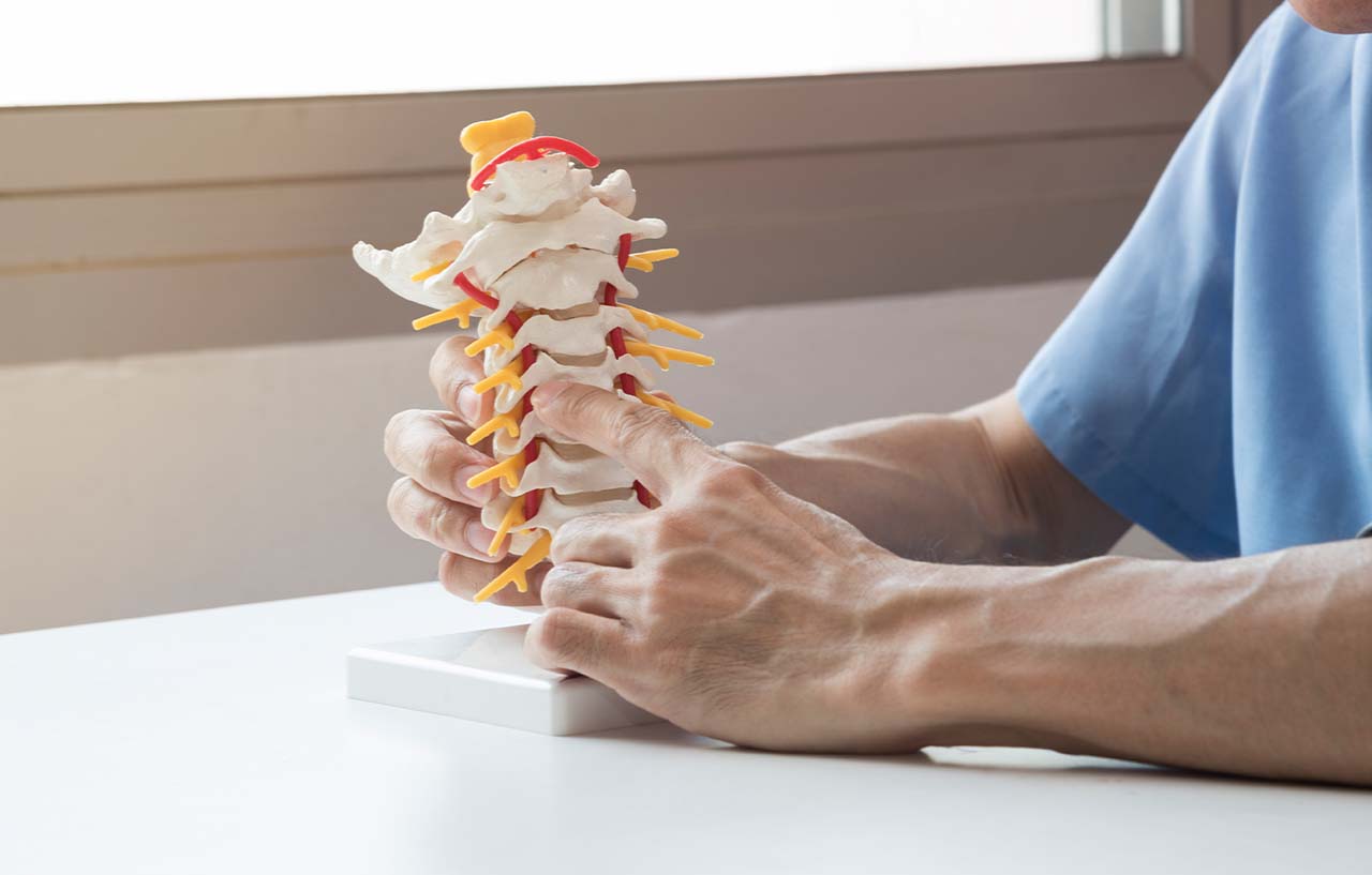 Surgeon using model of a spine to explain how the vertebral augmentation for spinal osteoporosis procedure works