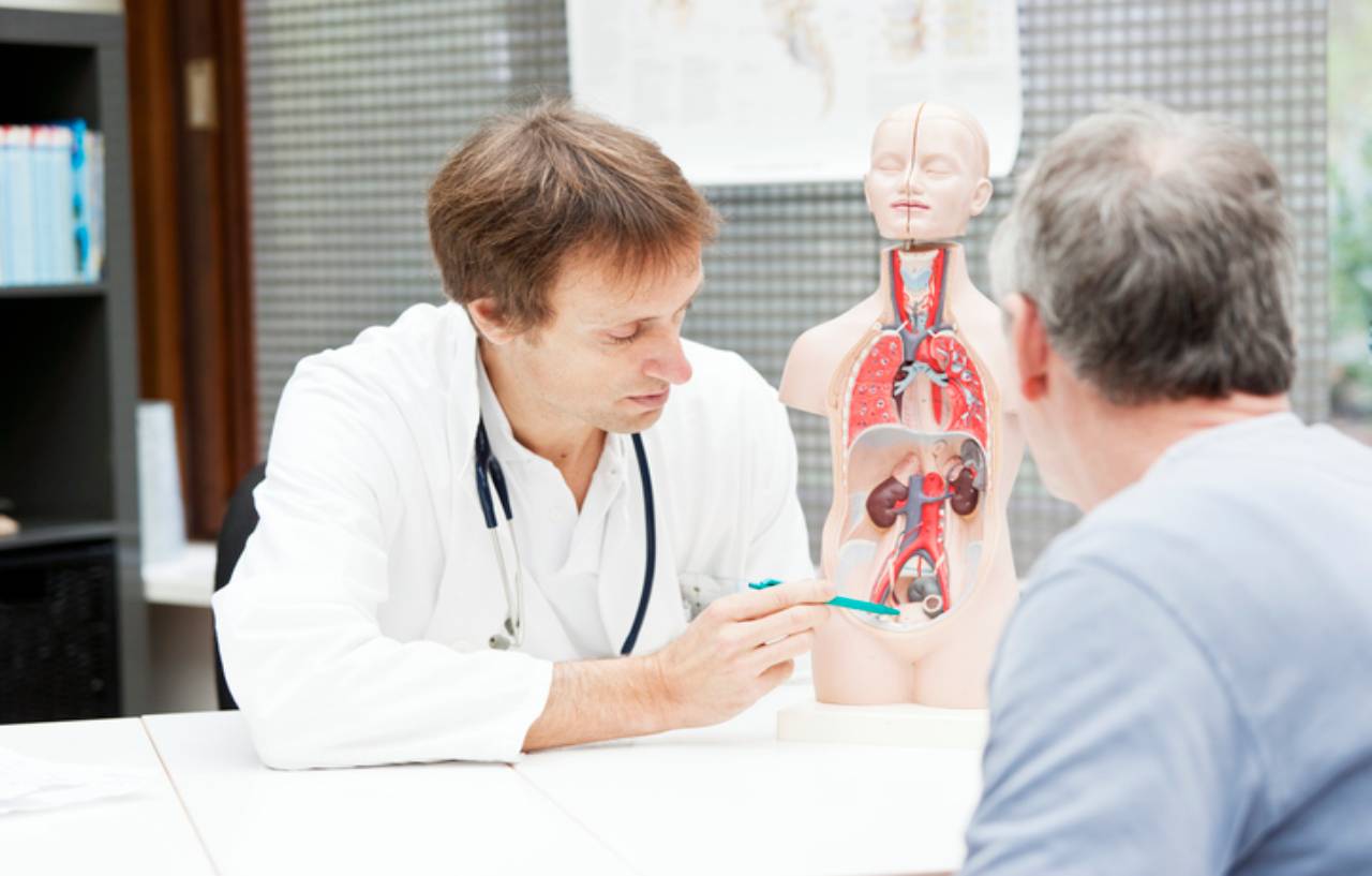 Doctor points at an anatomy model to explain how a saturation biopsy of the prostate procedure works