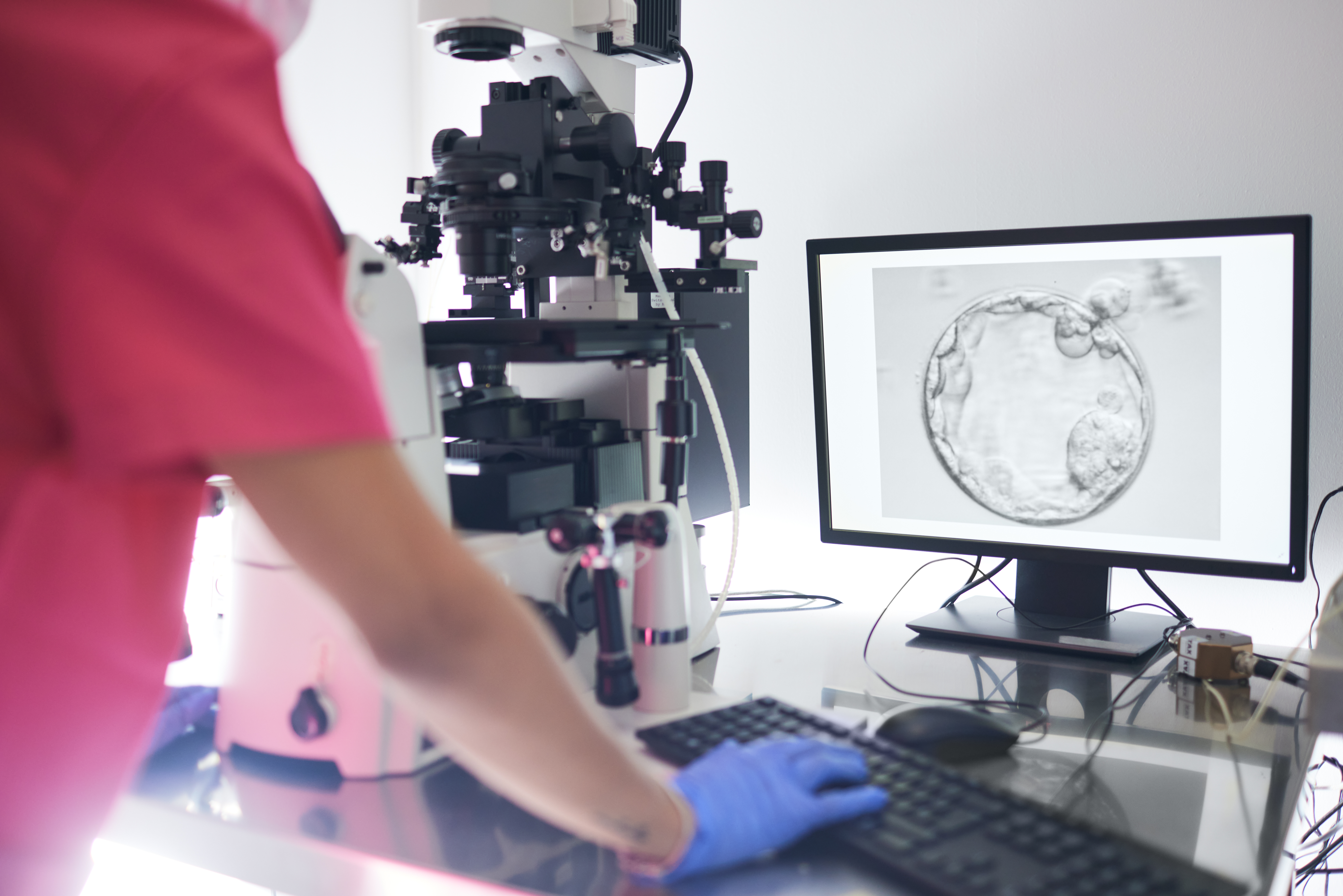 A nurse is looking at an embryo through a microscope