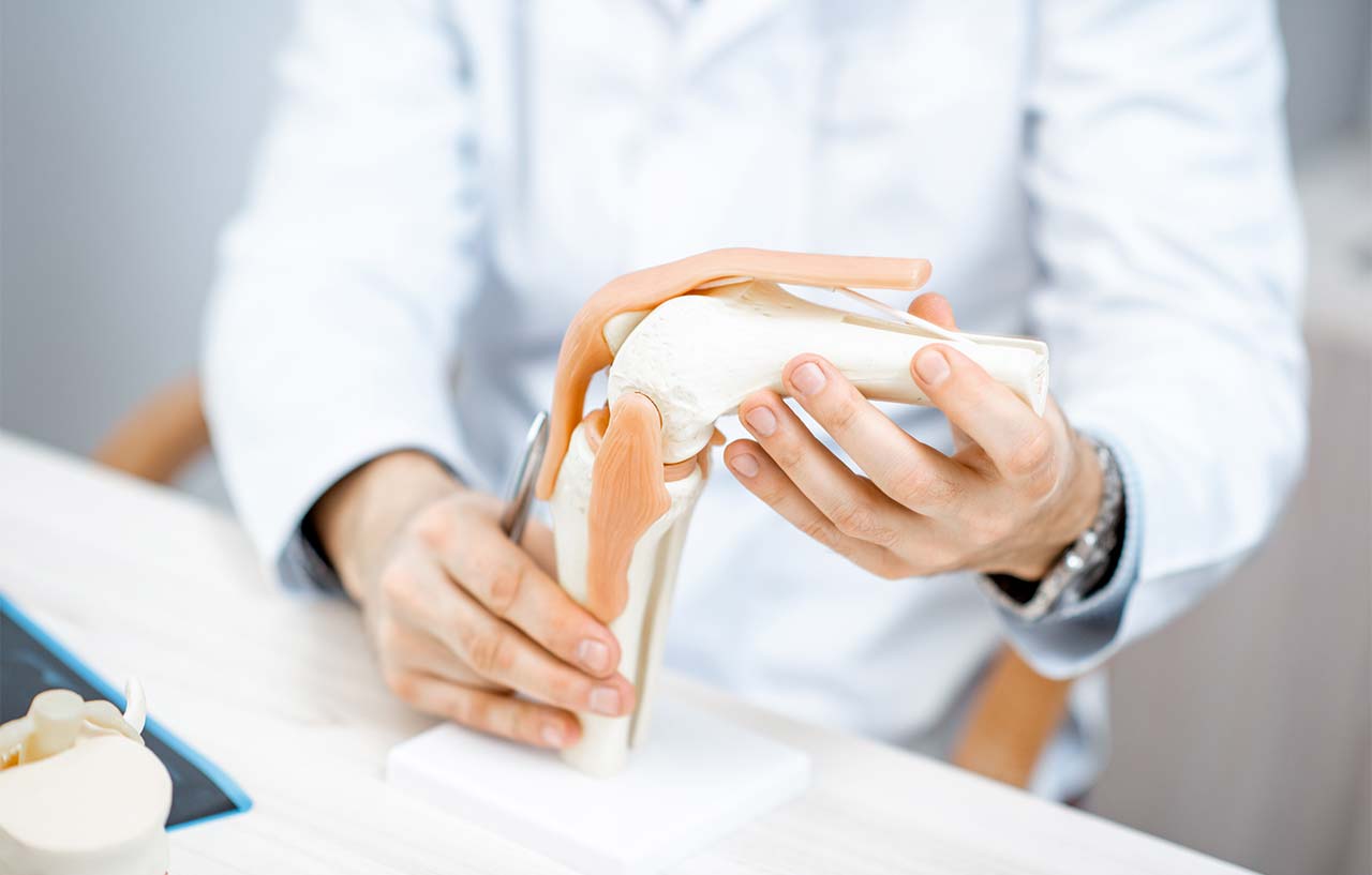 Doctor pointing to part of a knee joint model