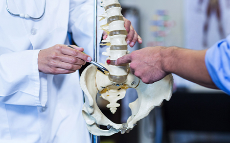 close up of specialist pointing at medical model of the spine