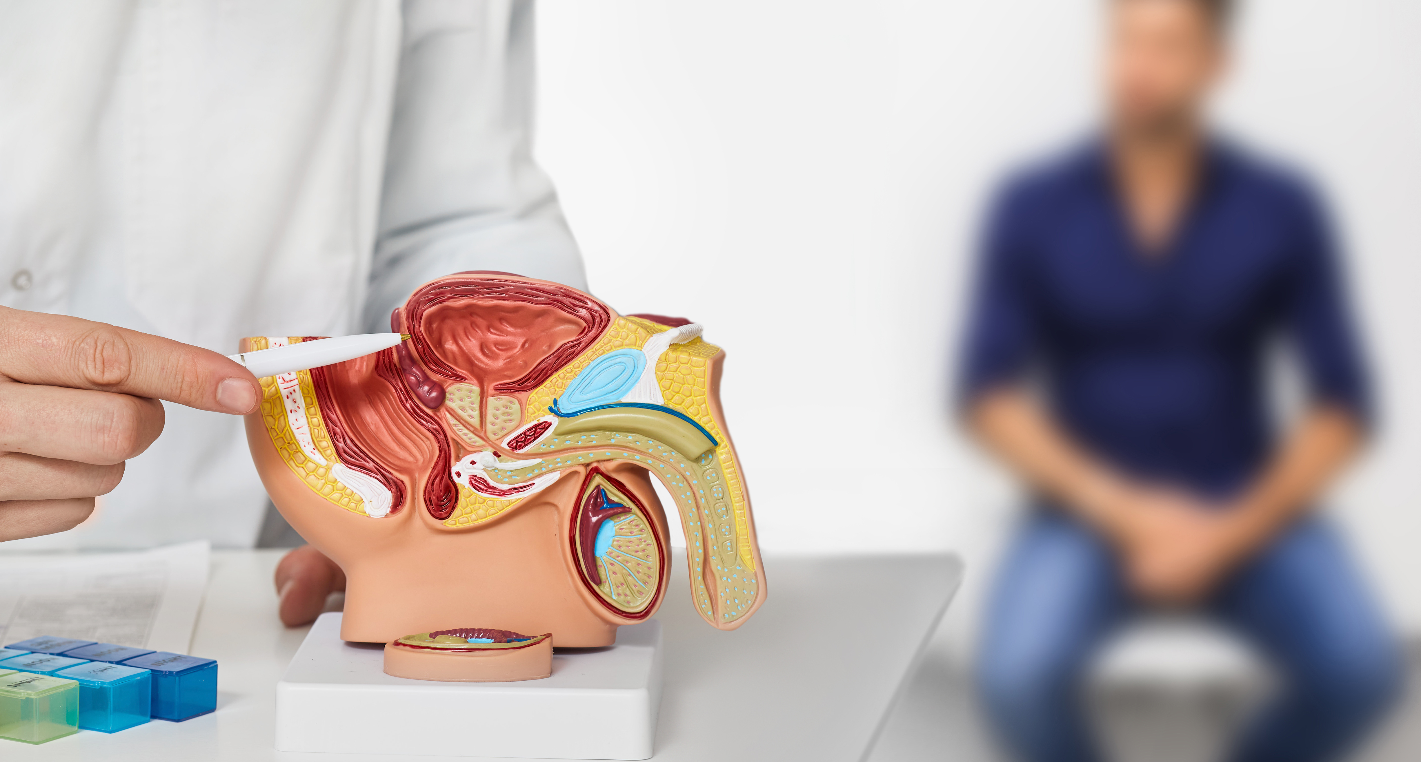 Urology consultant pointing to a diagram